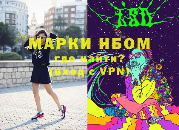 сатива Алзамай