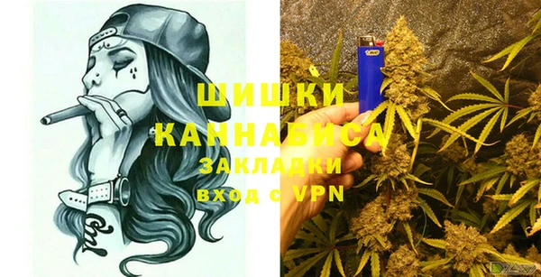 сатива Алзамай