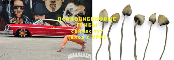 прущие крисы Алексин