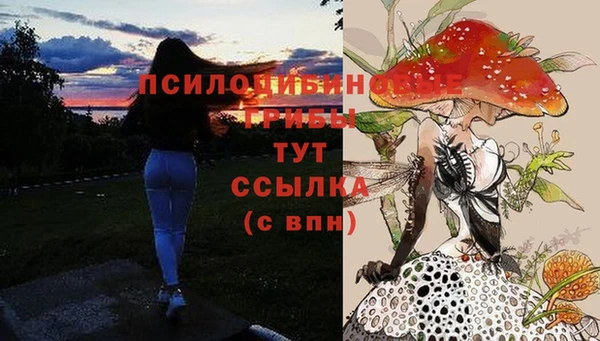 ALPHA PVP Алексеевка