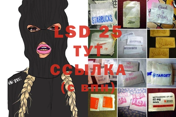 сатива Алзамай