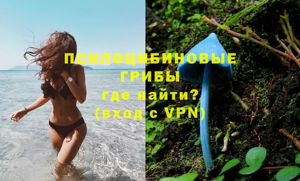ALPHA PVP Алексеевка