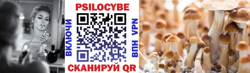 Галлюциногенные грибы Cubensis  Купить где  Пласт 